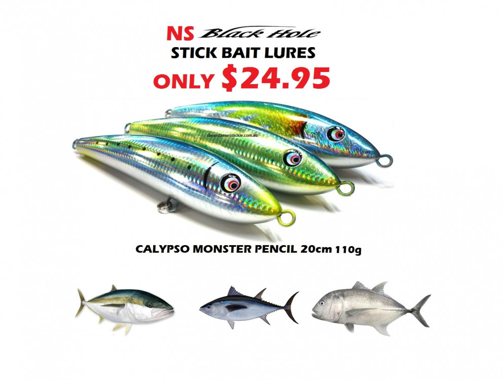 N.S Black Hole Calypso Monster Pencil 110g - Now Only $24.95 -Ray & Anne's  Tackle & Marine site