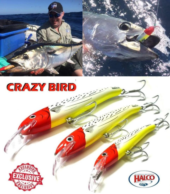 Halco Laser Pro Lures - Exclusive Crazy Bird Colour -Ray & Anne's Tackle &  Marine site