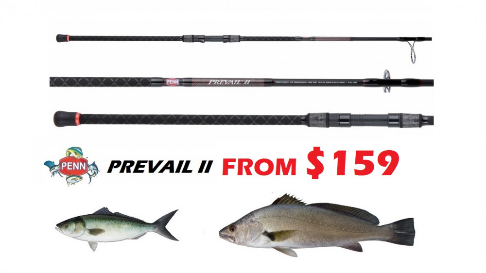 Penn Prevail 2 Surf Rods - From $159 -Ray & Anne's Tackle & Marine
