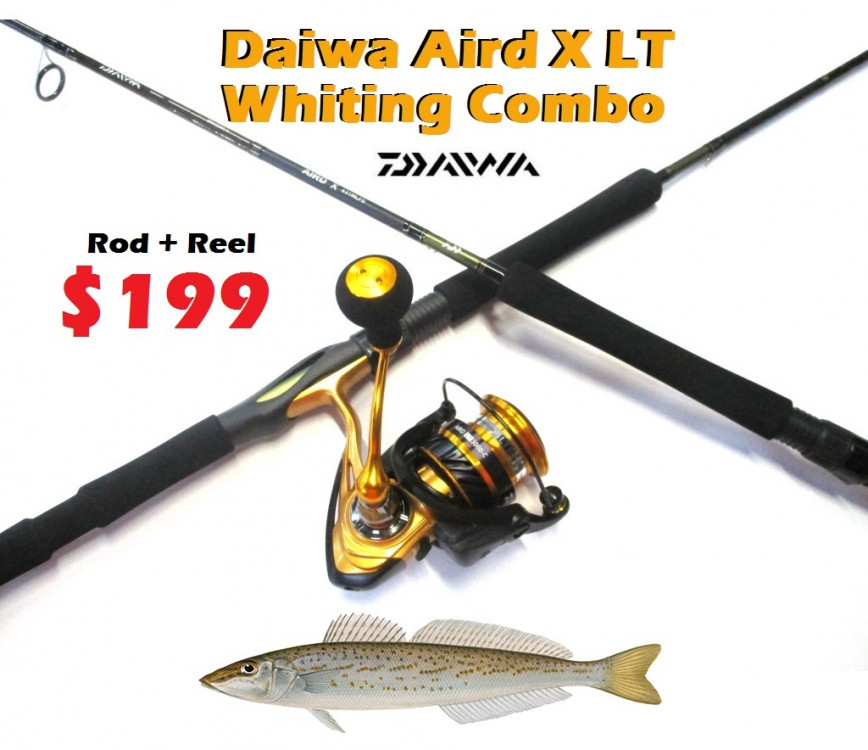 Daiwa Aird X LT Whiting Combo - Rod + Reel Only $199 -Ray & Anne's Tackle &  Marine site