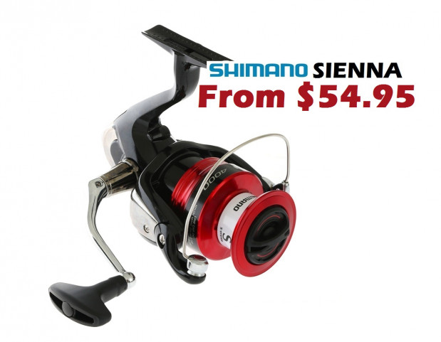 Shimano Sienna C3000 FG Angler, 44% OFF
