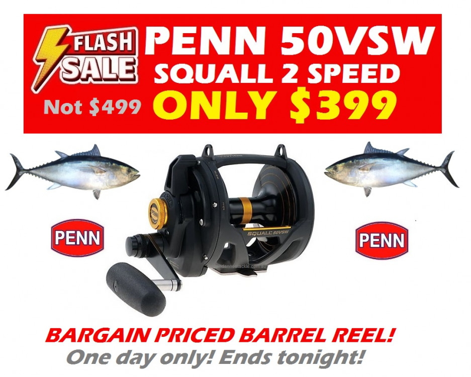 Penn Squall 2 Speed Game Reels - 16VS , 30VSW , 50VSW From $399