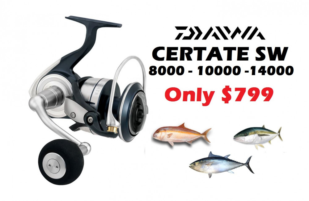 Daiwa Certate SW - Sizes 8000 . 10000 or 14000 - $799 -Ray & Anne's Tackle  & Marine site
