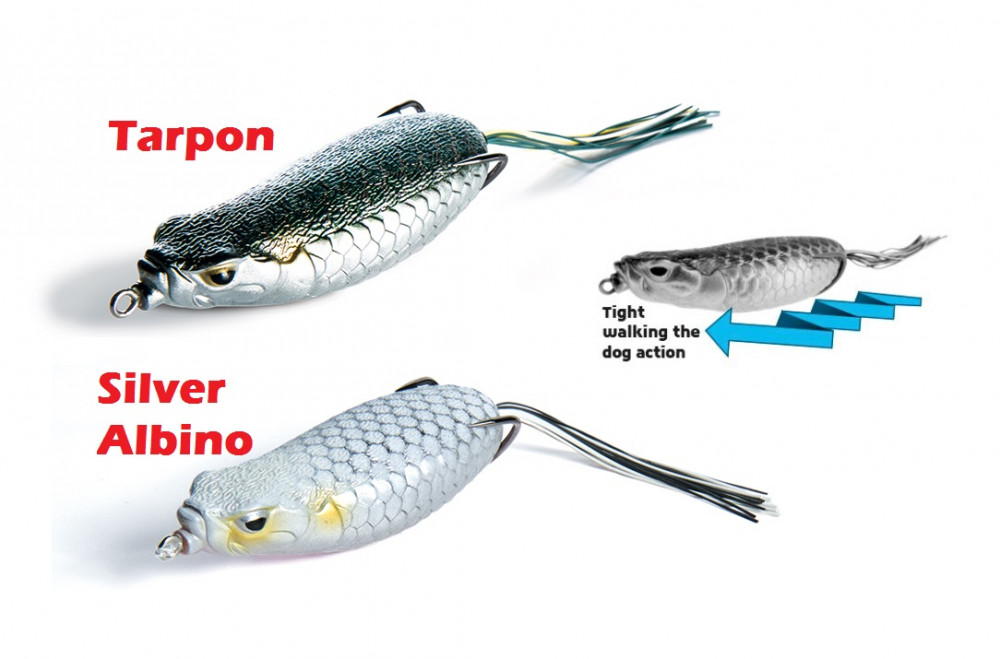 Molix Sneaky Frog Top water Lures - Only $16.95 -Ray & Anne's Tackle &  Marine site