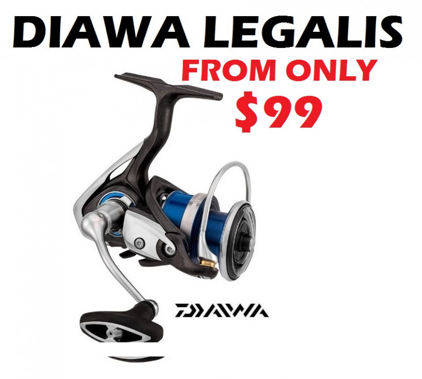 Daiwa Legalis LT Reels - From Only $99 -Ray & Anne's Tackle