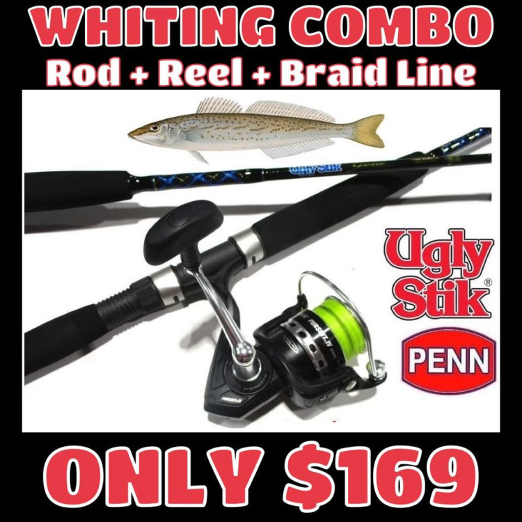 Ugly Stik Whiting Combo KGW Rod + Penn Pursuit 3000 Reel + Braid Line